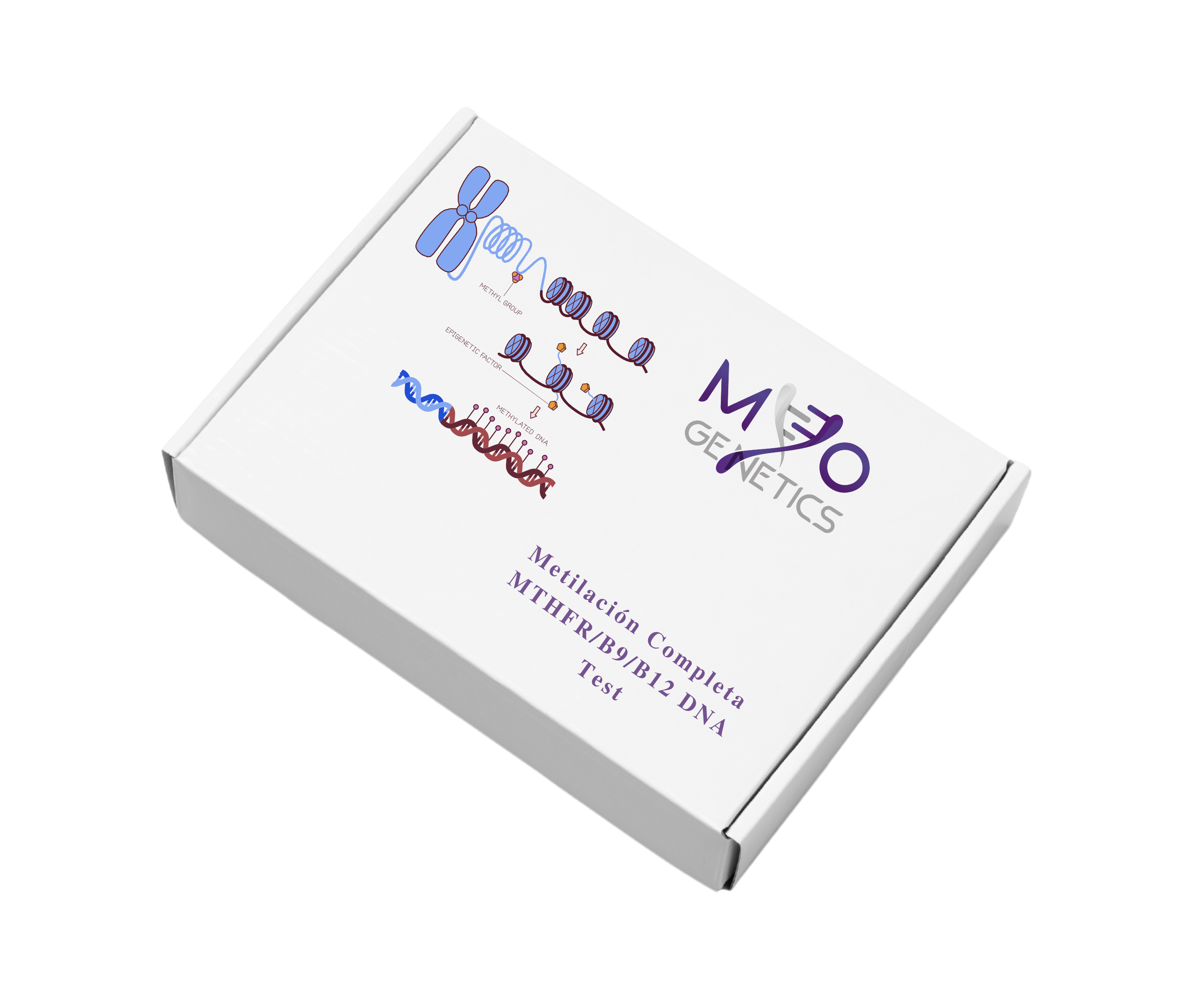 🧬 Metilación Completa – MTHFR/B9/B12 DNA Test